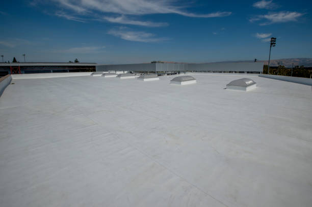 Best Roof Leak Repair  in Califon, NJ